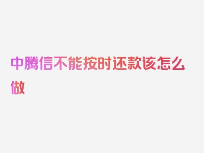 中腾信不能按时还款该怎么做