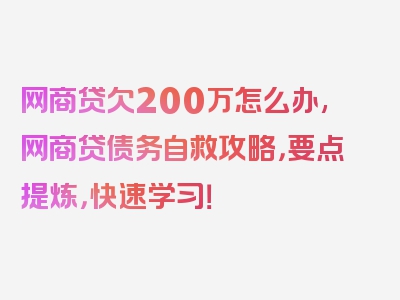 网商贷欠200万怎么办,网商贷债务自救攻略，要点提炼，快速学习！