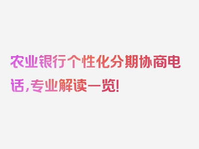 农业银行个性化分期协商电话，专业解读一览！