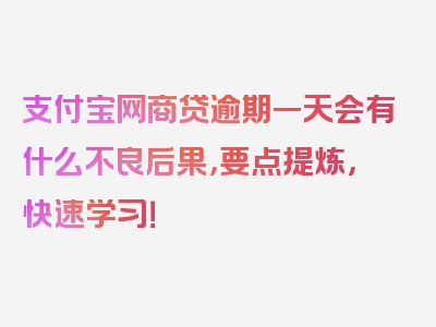 支付宝网商贷逾期一天会有什么不良后果，要点提炼，快速学习！