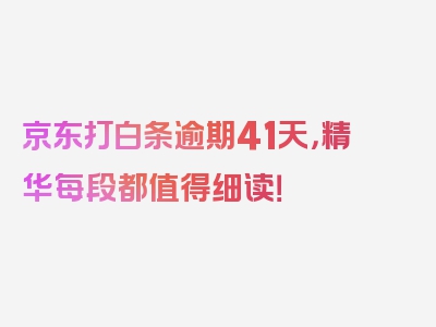 京东打白条逾期41天，精华每段都值得细读！