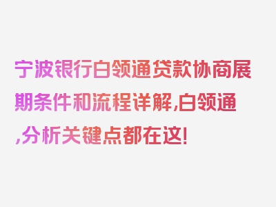 宁波银行白领通贷款协商展期条件和流程详解,白领通，分析关键点都在这！