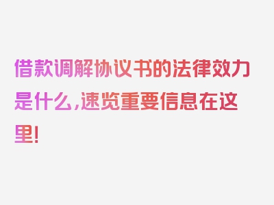 借款调解协议书的法律效力是什么，速览重要信息在这里！