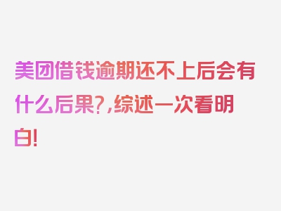 美团借钱逾期还不上后会有什么后果?，综述一次看明白！