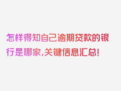 怎样得知自己逾期贷款的银行是哪家，关键信息汇总！