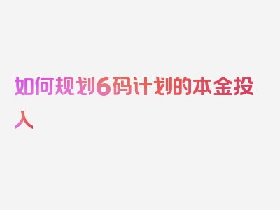 如何规划6码计划的本金投入