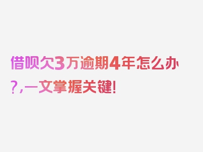 借呗欠3万逾期4年怎么办?，一文掌握关键！