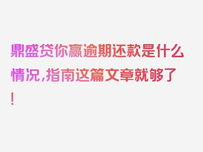 鼎盛贷你赢逾期还款是什么情况，指南这篇文章就够了！