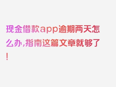 现金借款app逾期两天怎么办，指南这篇文章就够了！