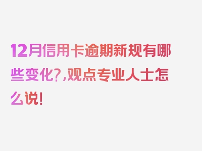 12月信用卡逾期新规有哪些变化?，观点专业人士怎么说！