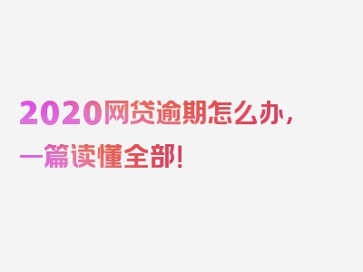 2020网贷逾期怎么办，一篇读懂全部！