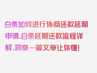 白条如何进行协商还款延期申请,白条延期还款流程详解，洞察一篇文章让你懂！