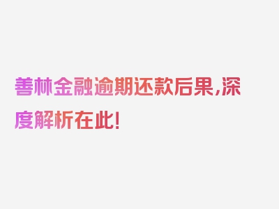 善林金融逾期还款后果，深度解析在此！