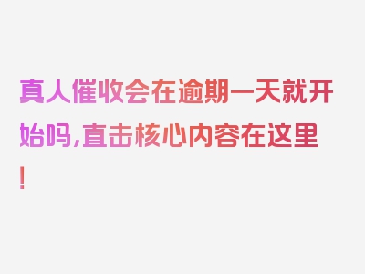 真人催收会在逾期一天就开始吗，直击核心内容在这里！