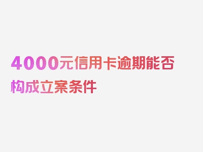 4000元信用卡逾期能否构成立案条件