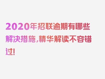 2020年招联逾期有哪些解决措施，精华解读不容错过！