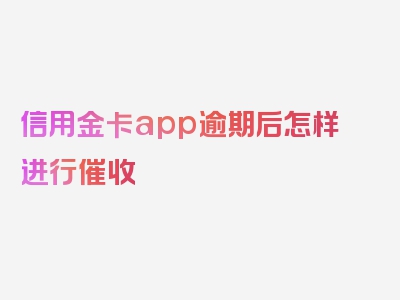 信用金卡app逾期后怎样进行催收