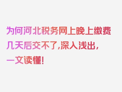 为何河北税务网上晚上缴费几天后交不了，深入浅出，一文读懂！