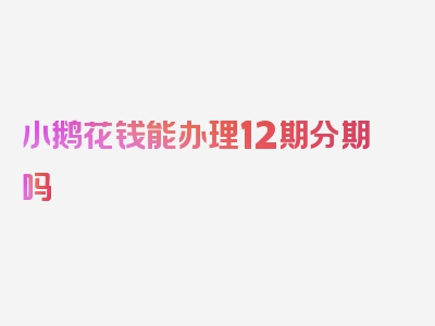 小鹅花钱能办理12期分期吗