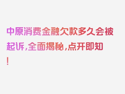 中原消费金融欠款多久会被起诉，全面揭秘，点开即知！