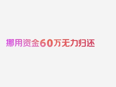 挪用资金60万无力归还