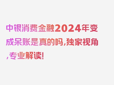 中银消费金融2024年变成呆账是真的吗，独家视角，专业解读！