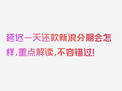 延迟一天还款新浪分期会怎样，重点解读，不容错过！