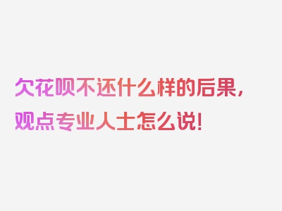 欠花呗不还什么样的后果，观点专业人士怎么说！