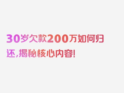 30岁欠款200万如何归还，揭秘核心内容！