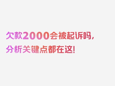 欠款2000会被起诉吗，分析关键点都在这！