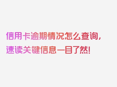 信用卡逾期情况怎么查询，速读关键信息一目了然！