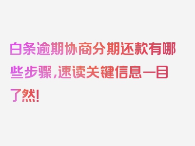 白条逾期协商分期还款有哪些步骤，速读关键信息一目了然！