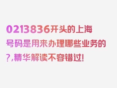 0213836开头的上海号码是用来办理哪些业务的?，精华解读不容错过！