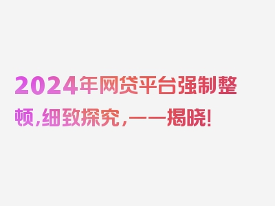 2024年网贷平台强制整顿，细致探究，一一揭晓！