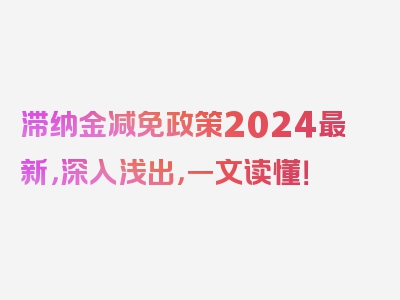 滞纳金减免政策2024最新，深入浅出，一文读懂！