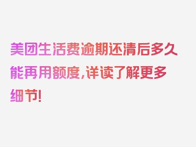 美团生活费逾期还清后多久能再用额度，详读了解更多细节！