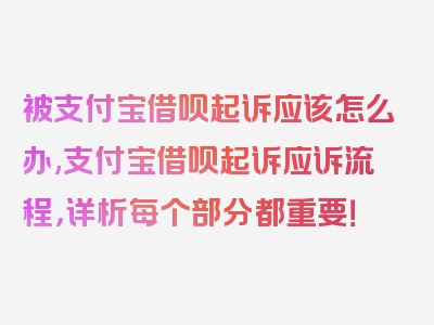 被支付宝借呗起诉应该怎么办,支付宝借呗起诉应诉流程，详析每个部分都重要！