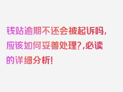 钱站逾期不还会被起诉吗,应该如何妥善处理?，必读的详细分析！