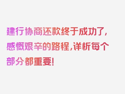 建行协商还款终于成功了,感慨艰辛的路程，详析每个部分都重要！