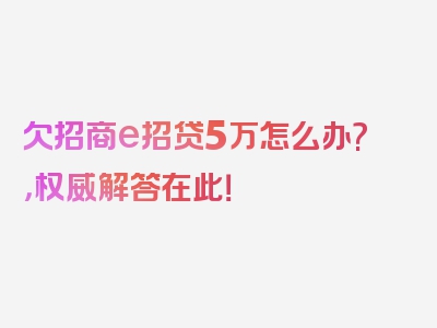 欠招商e招贷5万怎么办?，权威解答在此！