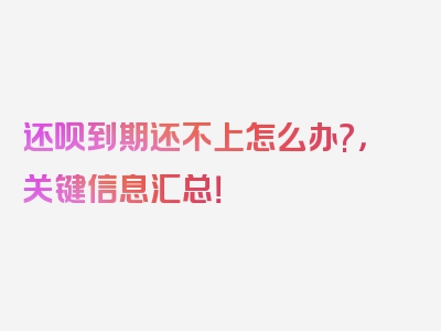 还呗到期还不上怎么办?，关键信息汇总！