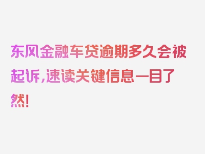 东风金融车贷逾期多久会被起诉，速读关键信息一目了然！