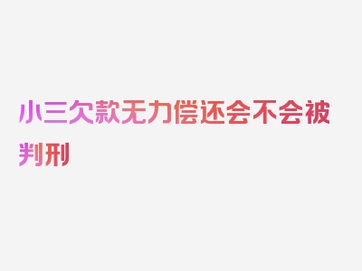 小三欠款无力偿还会不会被判刑