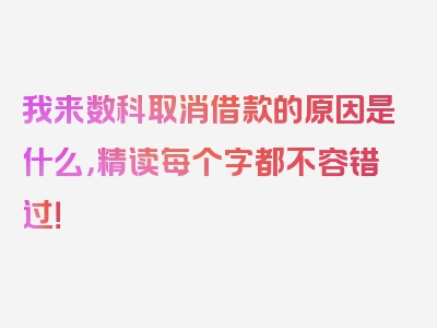 我来数科取消借款的原因是什么，精读每个字都不容错过！