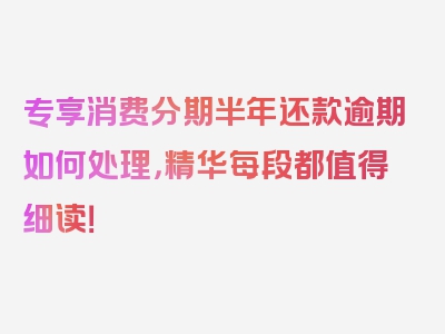 专享消费分期半年还款逾期如何处理，精华每段都值得细读！