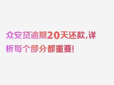 众安贷逾期20天还款，详析每个部分都重要！