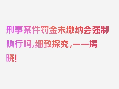 刑事案件罚金未缴纳会强制执行吗，细致探究，一一揭晓！