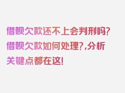 借呗欠款还不上会判刑吗?借呗欠款如何处理?，分析关键点都在这！