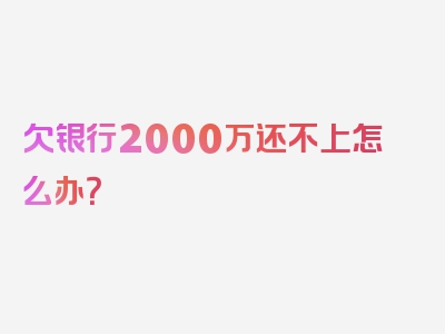 欠银行2000万还不上怎么办？