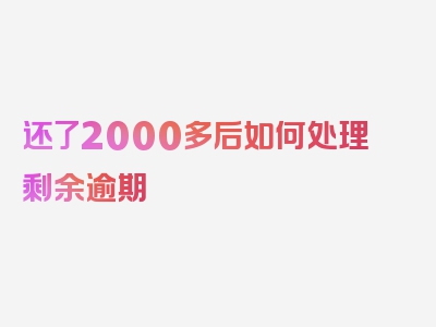 还了2000多后如何处理剩余逾期